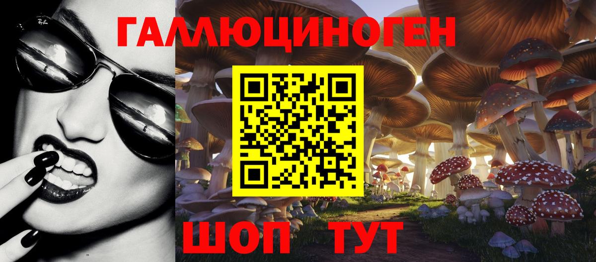 Галлюциногенные грибы мухоморы Медногорск