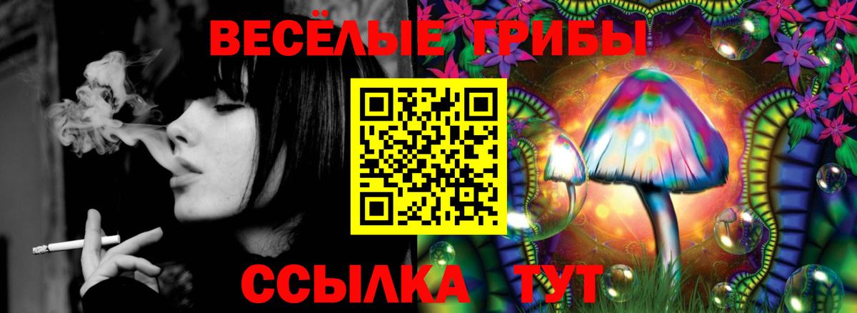Галлюциногенные грибы Magic Shrooms  Вход с VPN  Медногорск 